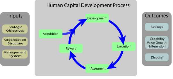 human-capital-development-a-holistic-process-that-improves-the